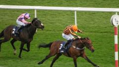 Doncaster horse racing